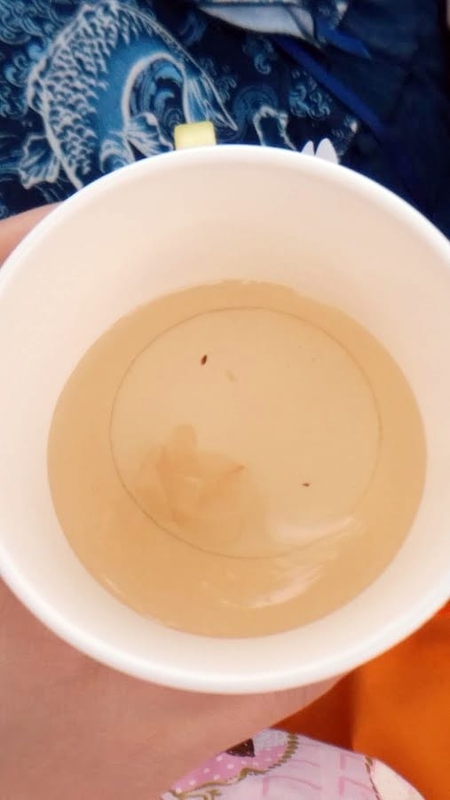 花見。湖畔野餐聚 花見。湖畔野餐聚