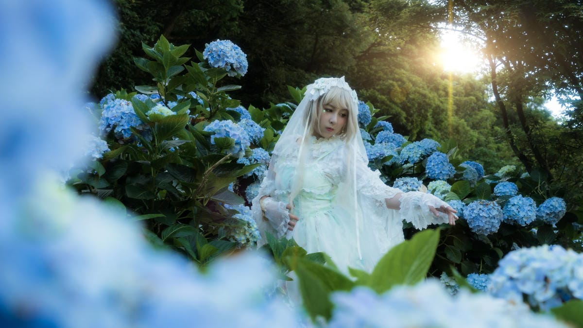 2017繡球花