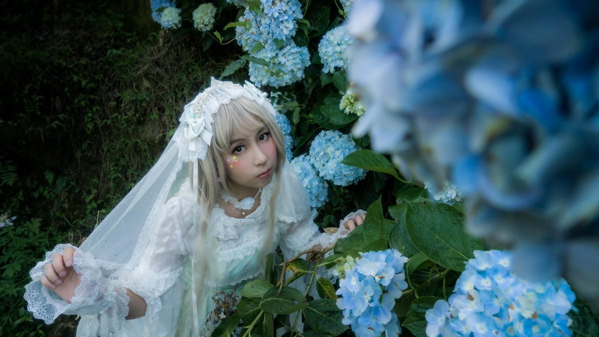 2017繡球花