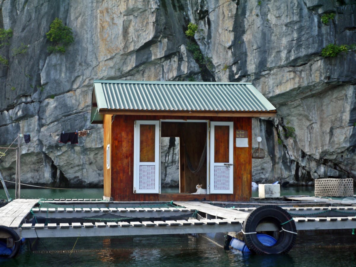 Vịnh Hạ Long Vịnh Hạ Long