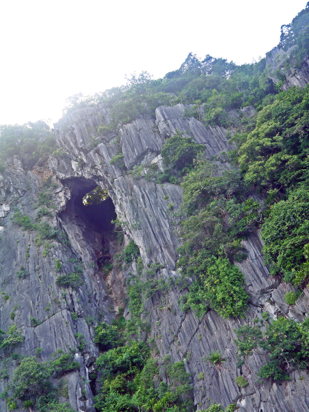 Vịnh Hạ Long Vịnh Hạ Long