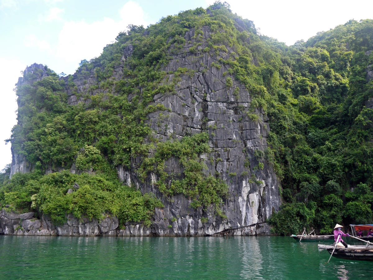 Vịnh Hạ Long Vịnh Hạ Long