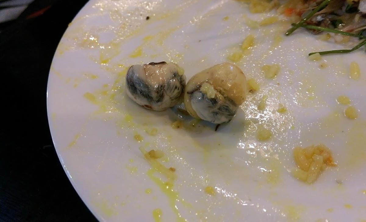 Buffet Vườn Buffet Vườn