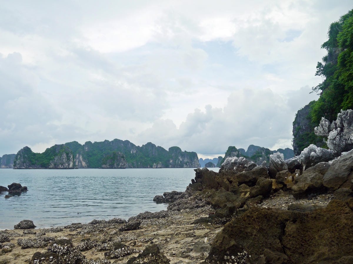 Signature Cruise, Halong Bay Signature Cruise, Halong Bay