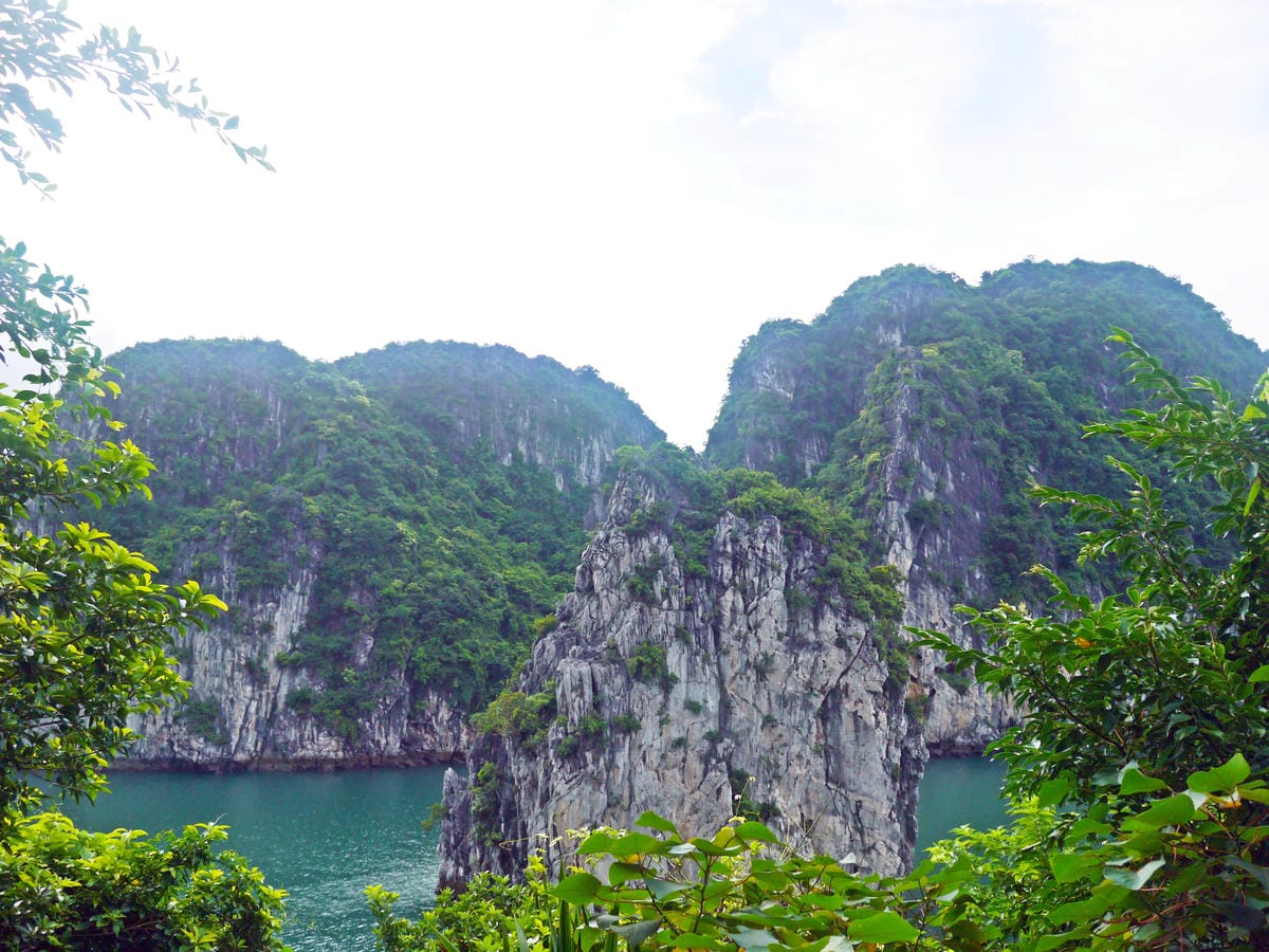 Signature Cruise, Halong Bay Signature Cruise, Halong Bay
