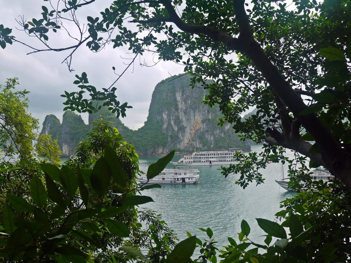Signature Cruise, Halong Bay Signature Cruise, Halong Bay