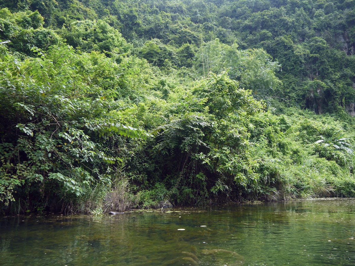 Tràng An - Di Sản Văn Hóa & Thiên Nhiên Thế Giới Tràng An - Di Sản Văn Hóa & Thiên Nhiên Thế Giới