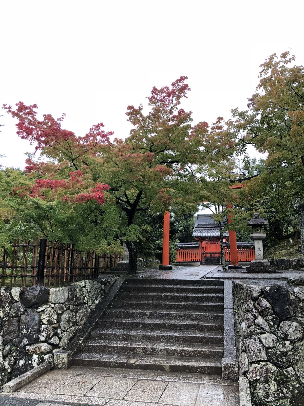 天龍寺 天龍寺