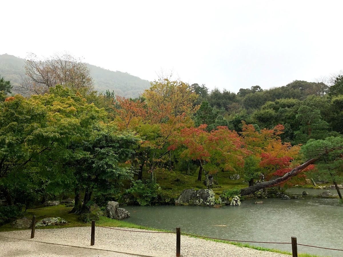 天龍寺 天龍寺