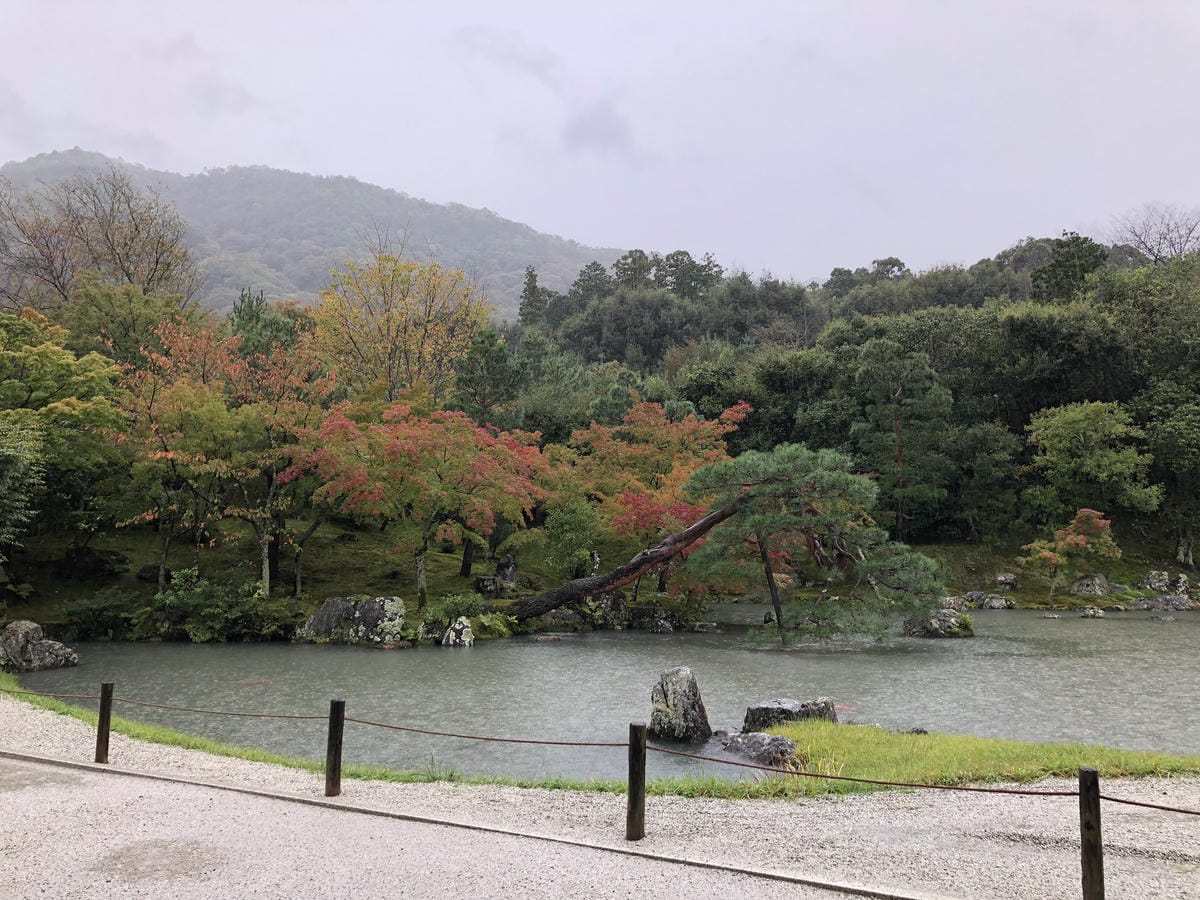 天龍寺 天龍寺