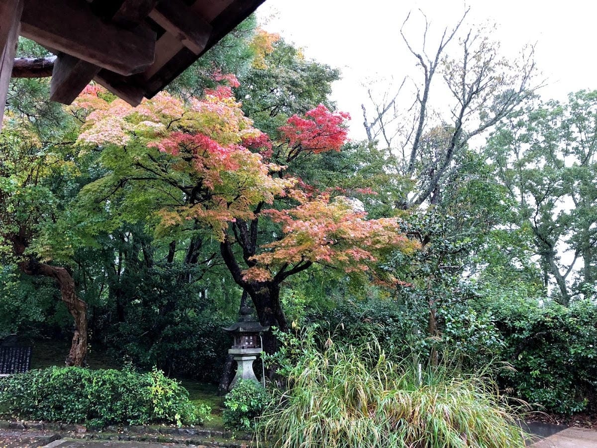 常寂光寺 Jojakko-ji 常寂光寺 Jojakko-ji