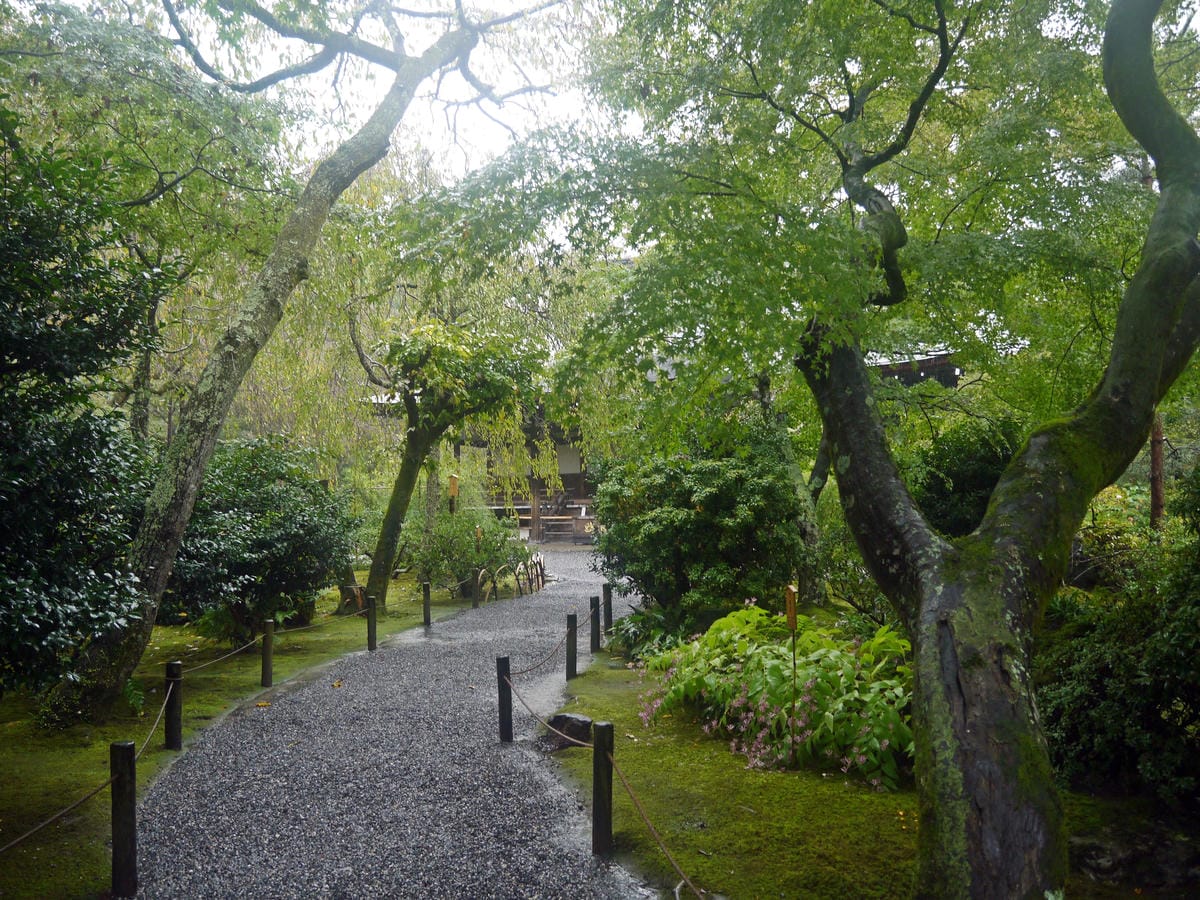 天龍寺 天龍寺