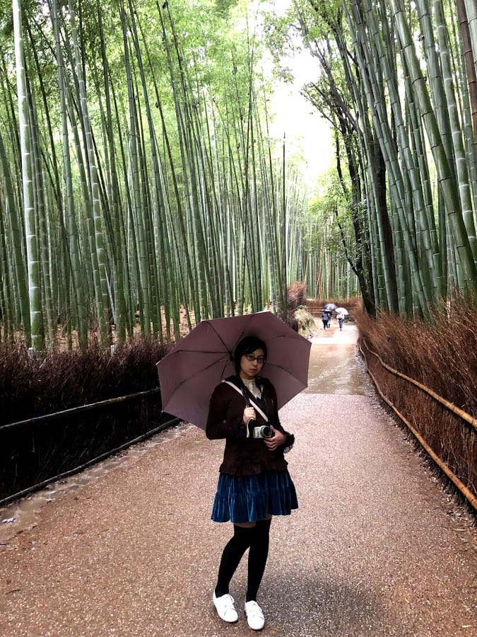 嵯峨野 竹林の道 嵯峨野 竹林の道