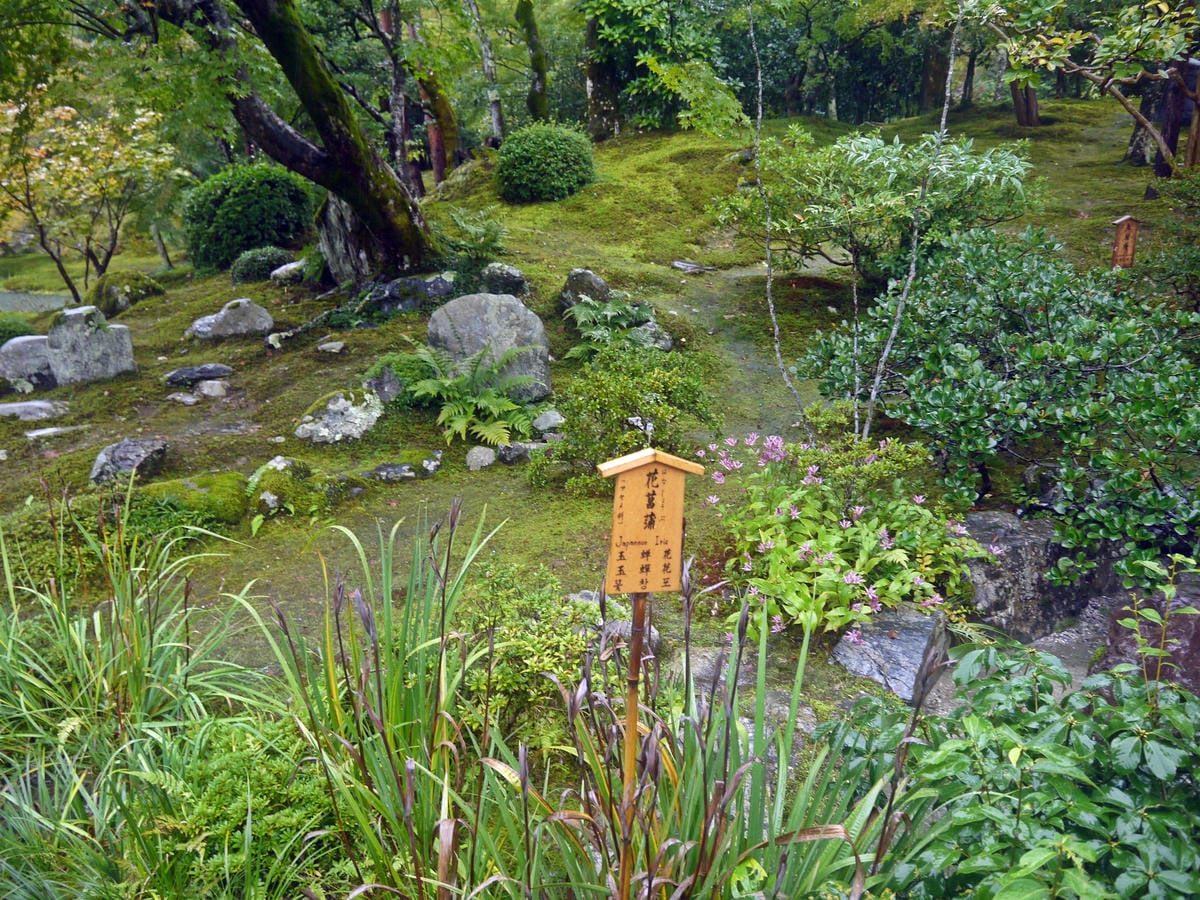 天龍寺 天龍寺