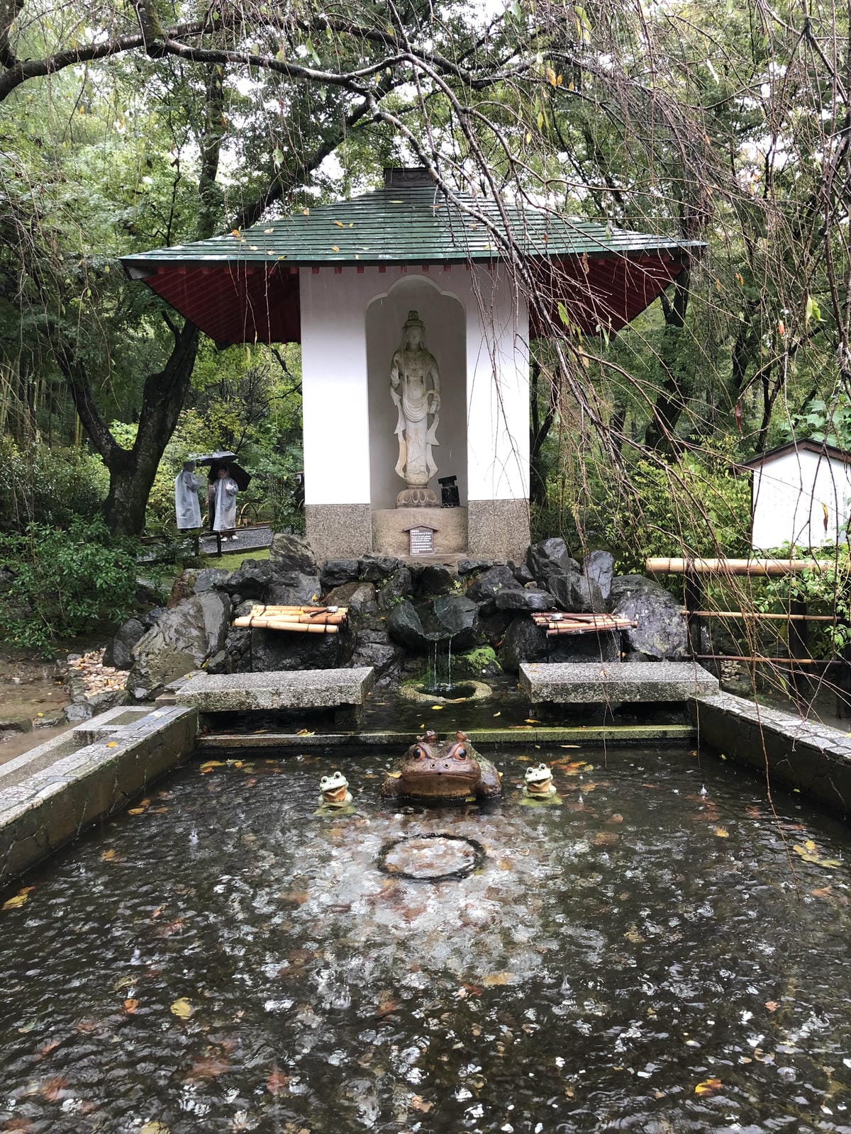 天龍寺 天龍寺
