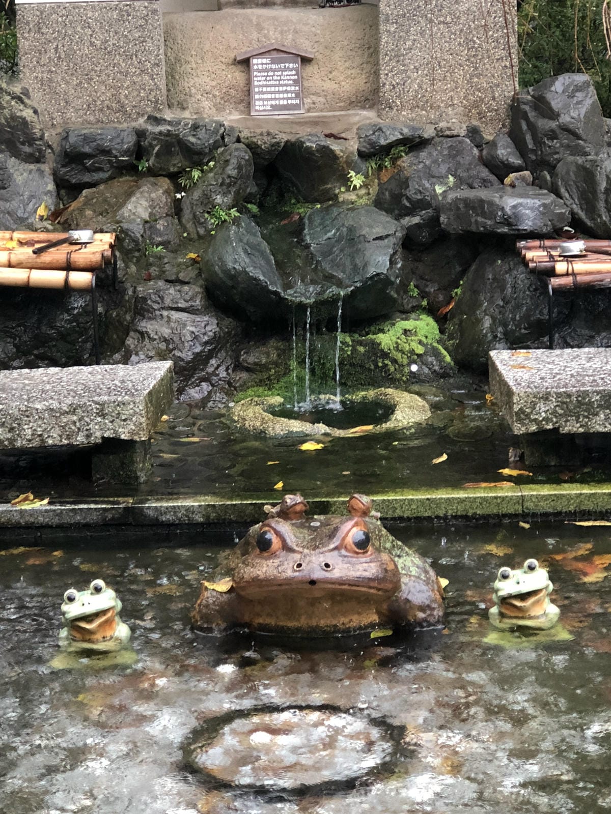 天龍寺 天龍寺