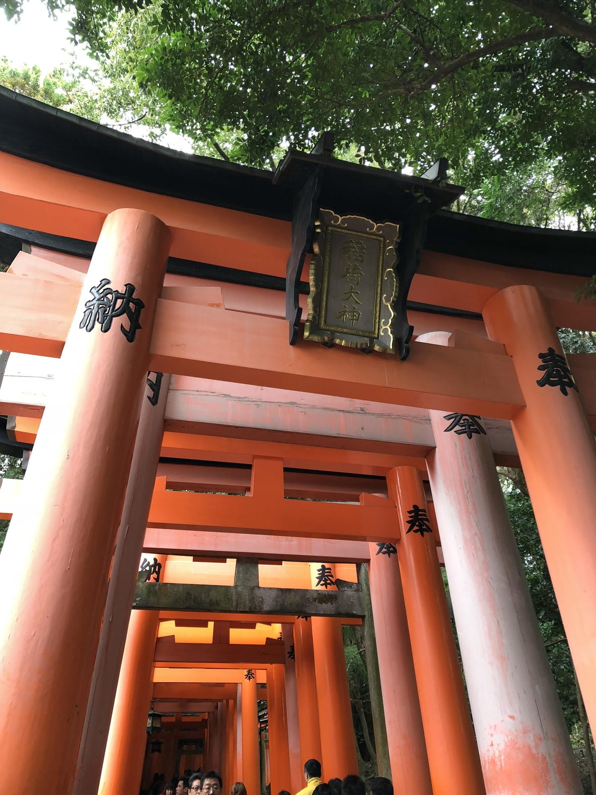 伏見稻禾 伏見稻禾