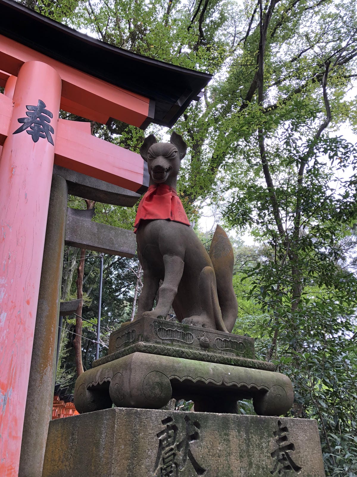 伏見稻禾 伏見稻禾