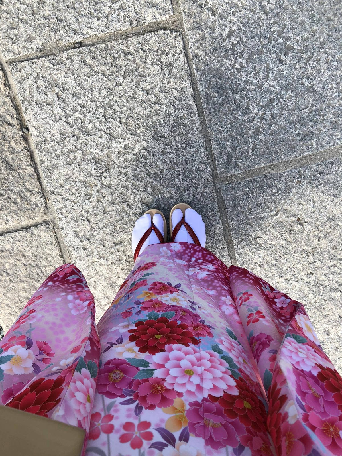 伏見稻禾 伏見稻禾