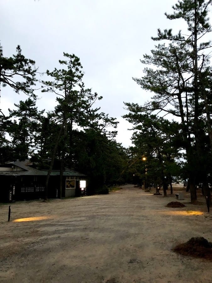 智恩寺 智恩寺