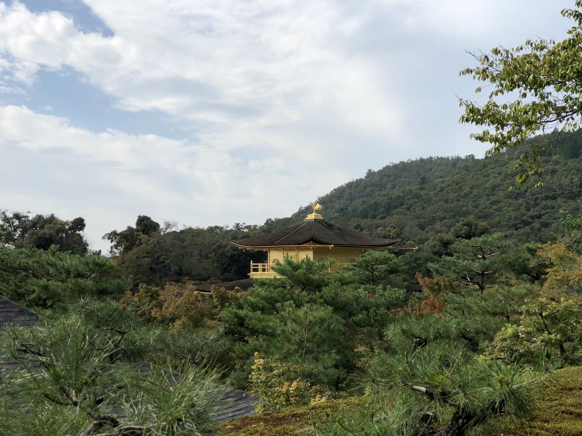  いただき 金閣寺