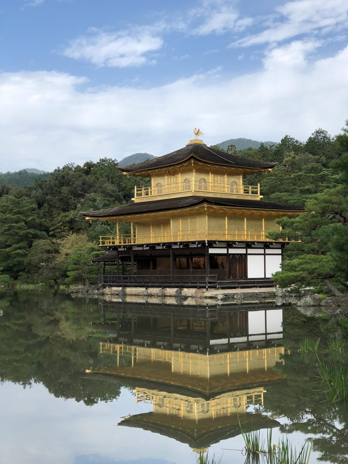  いただき 金閣寺