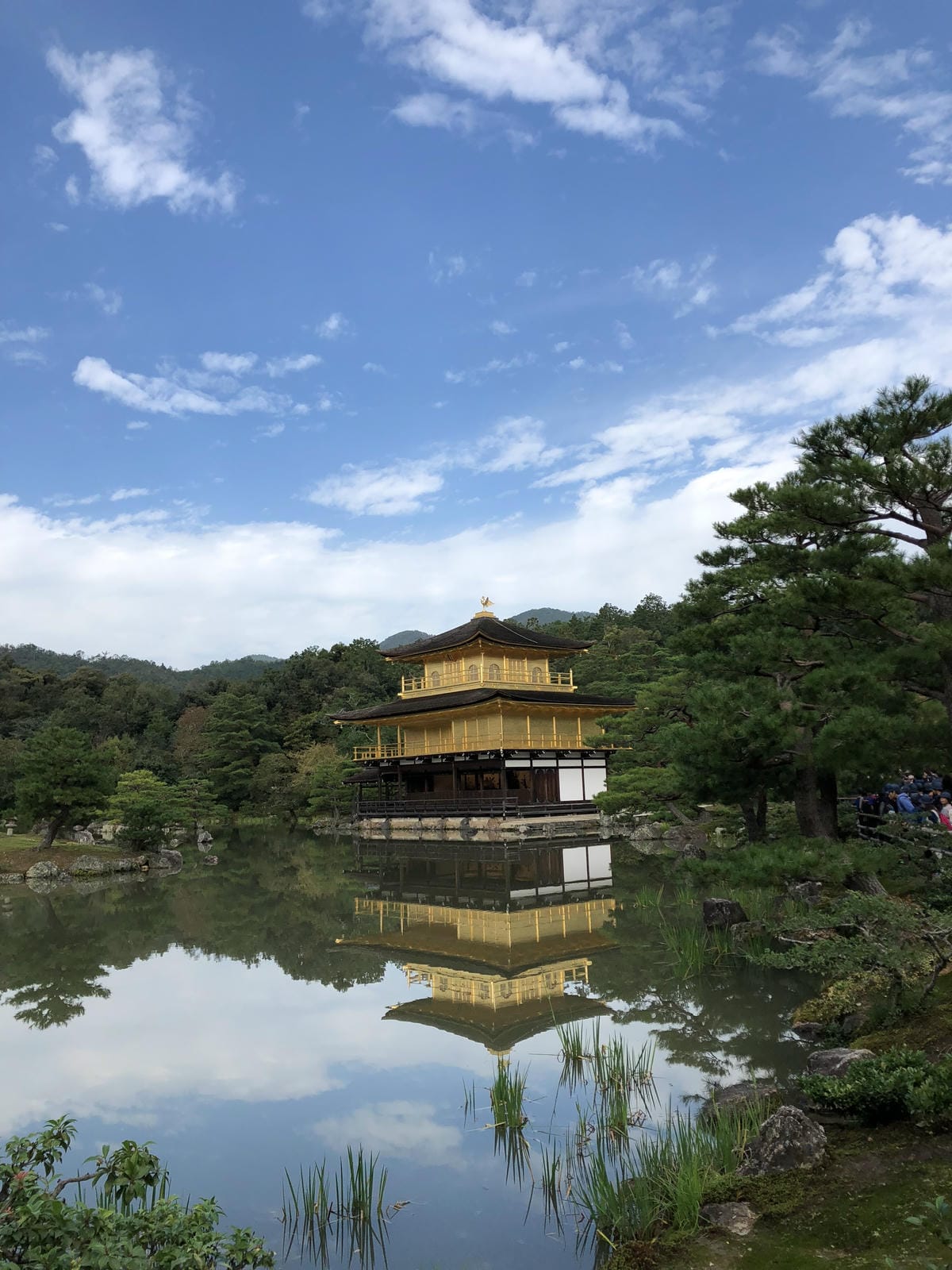  いただき 金閣寺