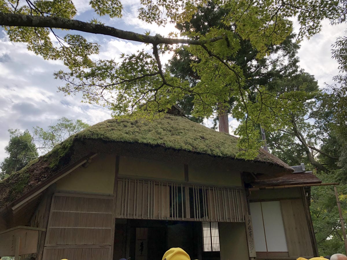  いただき 金閣寺