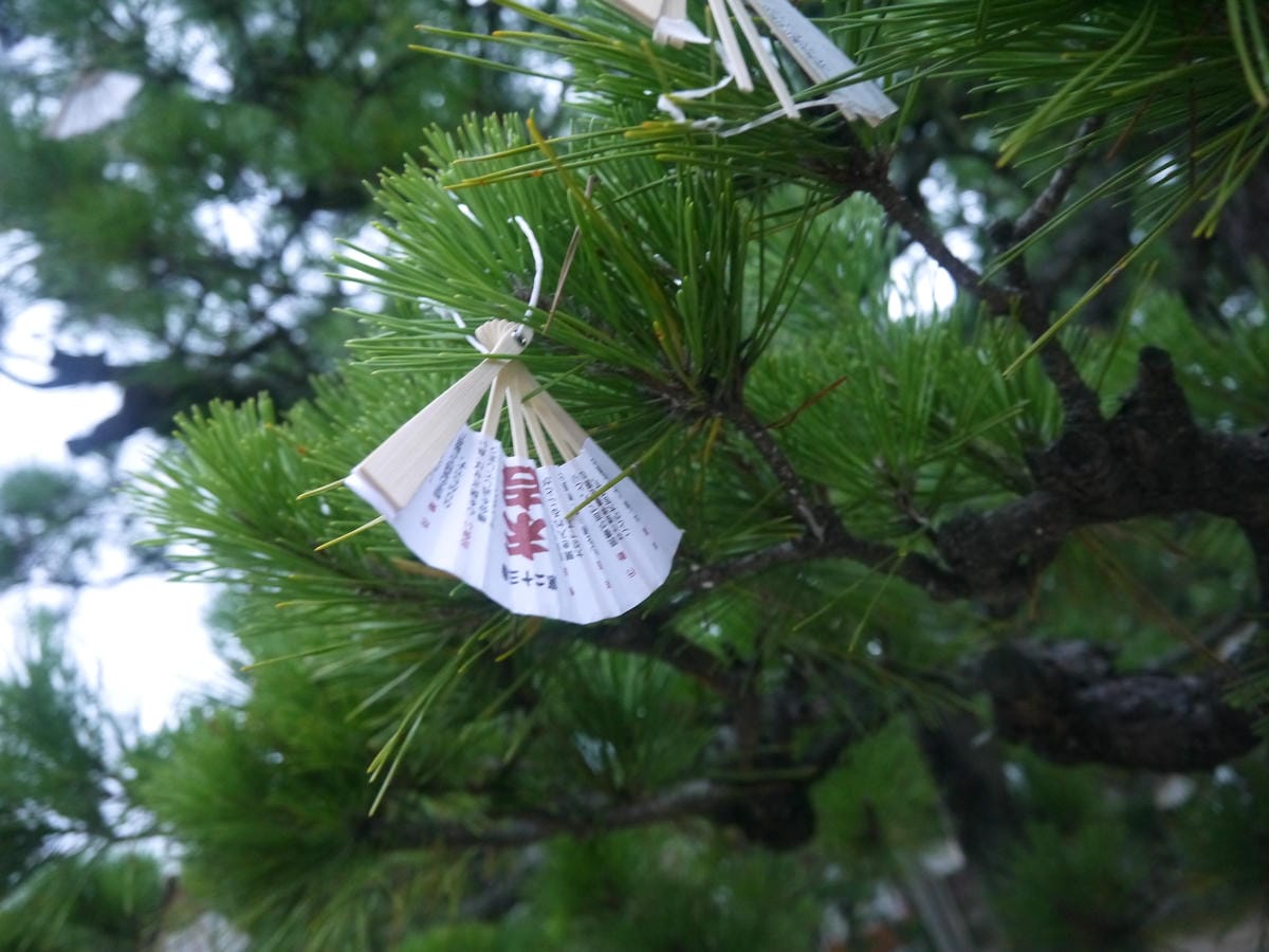 智恩寺 智恩寺