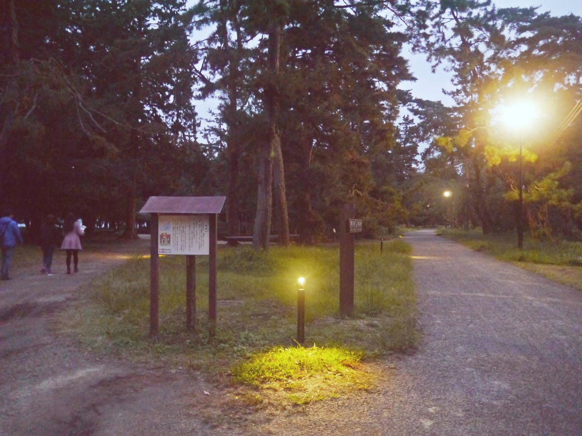 智恩寺 智恩寺