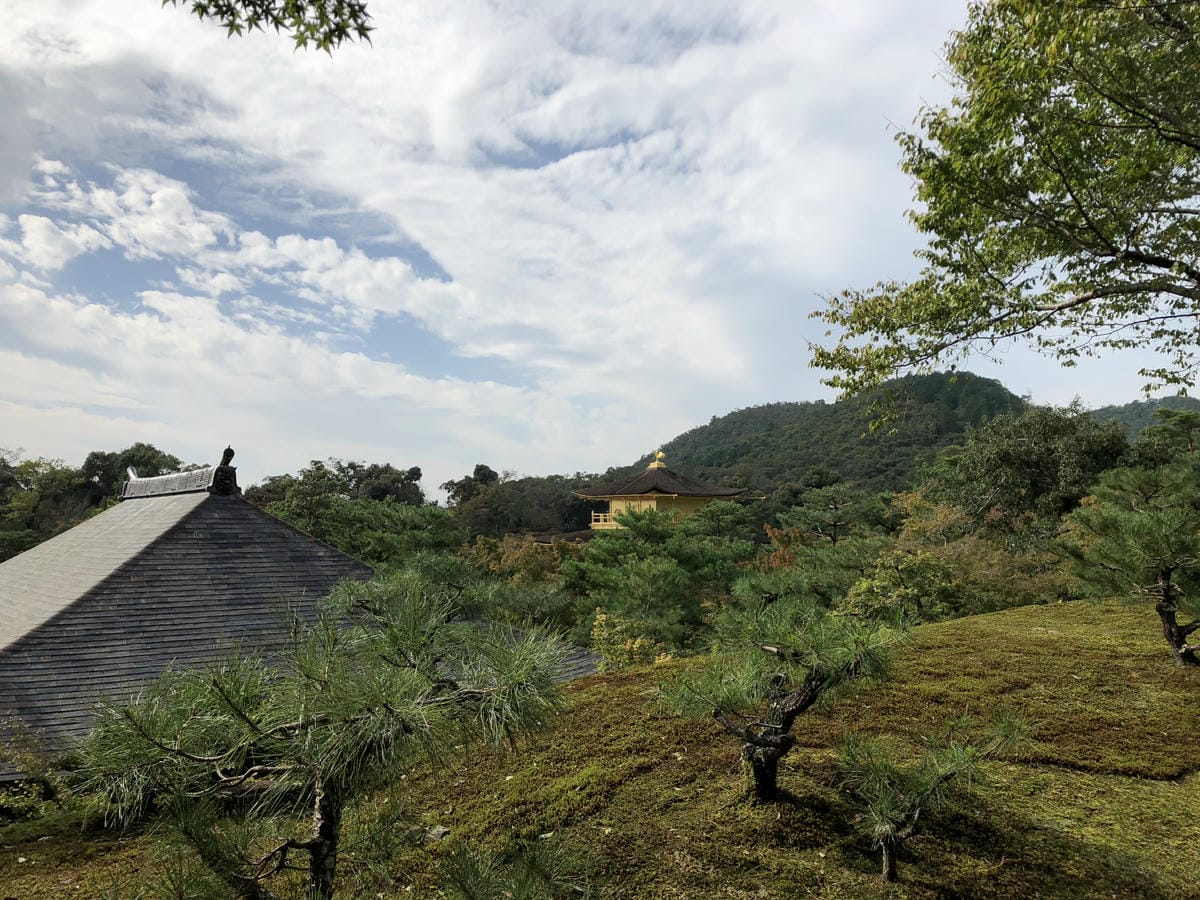  いただき 金閣寺