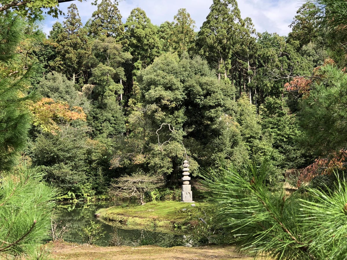  いただき 金閣寺
