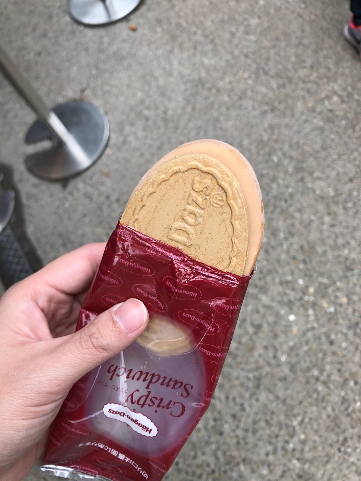  いただき 金閣寺