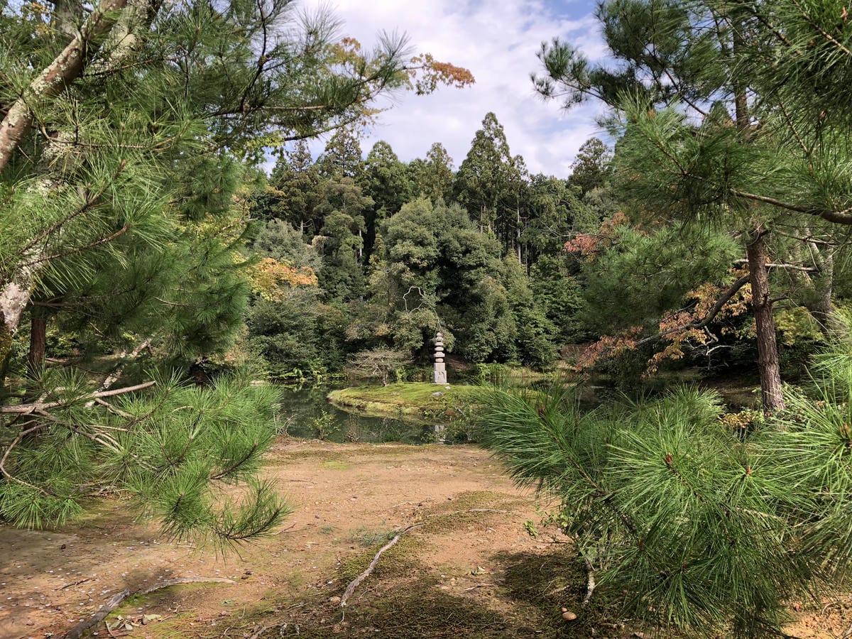  いただき 金閣寺