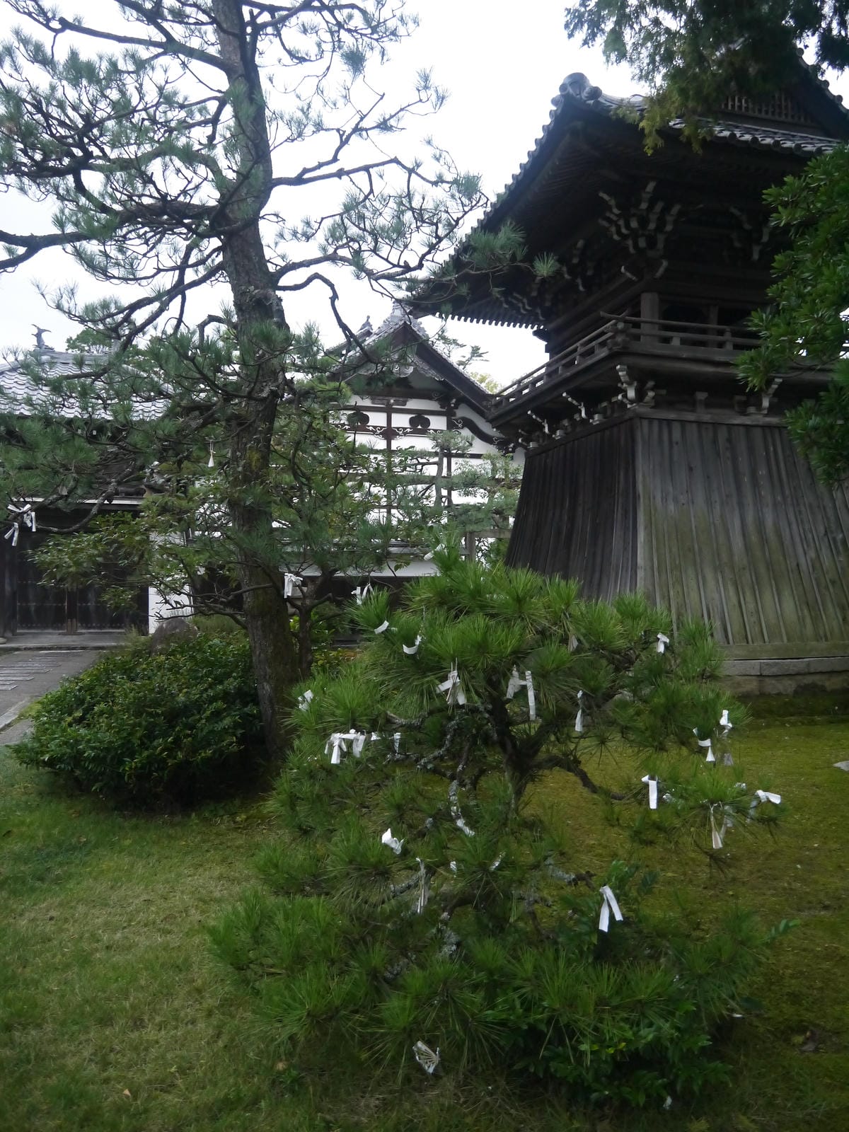 智恩寺 智恩寺