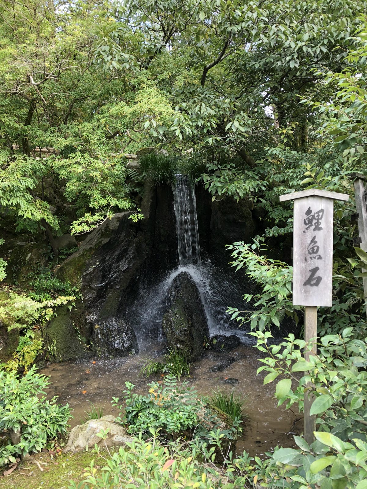  いただき 金閣寺
