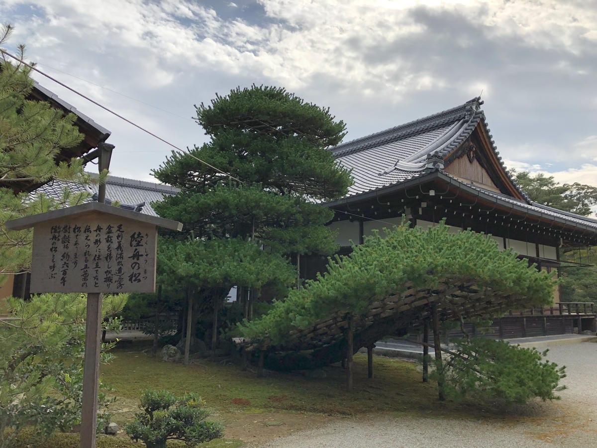  いただき 金閣寺
