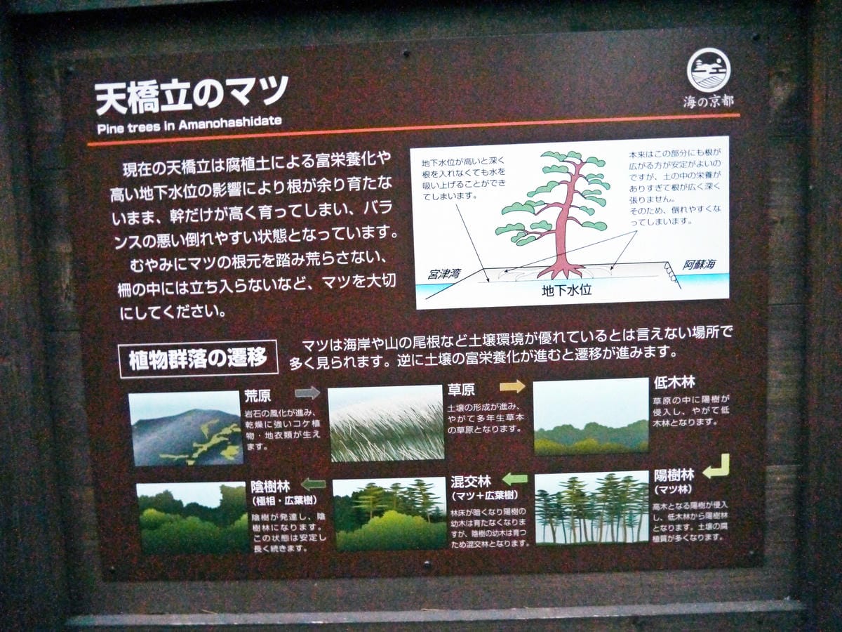 智恩寺 智恩寺