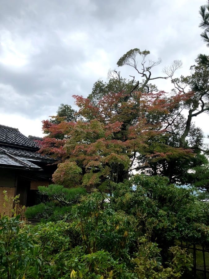松露亭 日本料理と庭園の宿