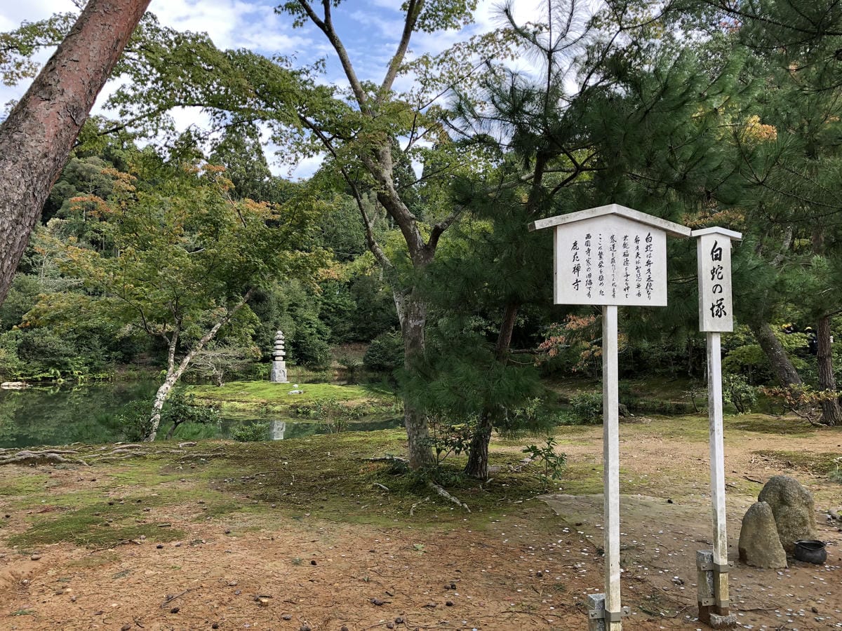  いただき 金閣寺