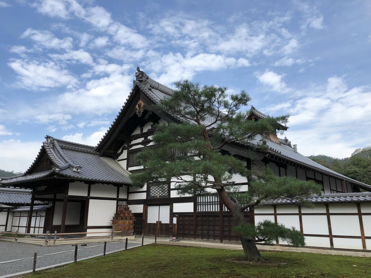  いただき 金閣寺