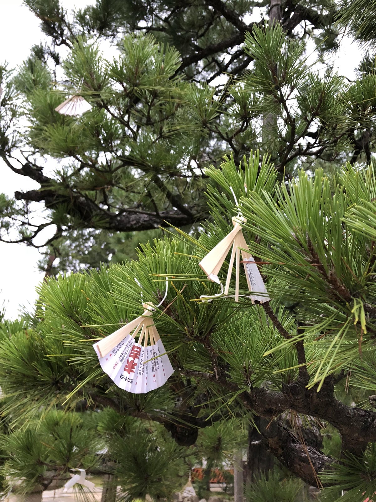 智恩寺 智恩寺