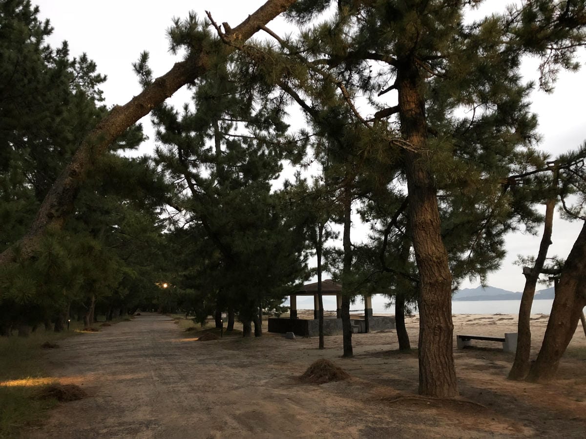 智恩寺 智恩寺
