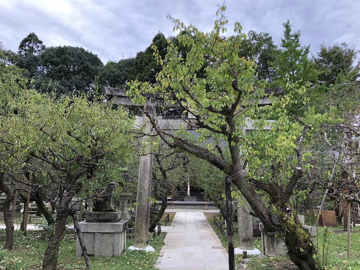 北野天満宮 梅苑