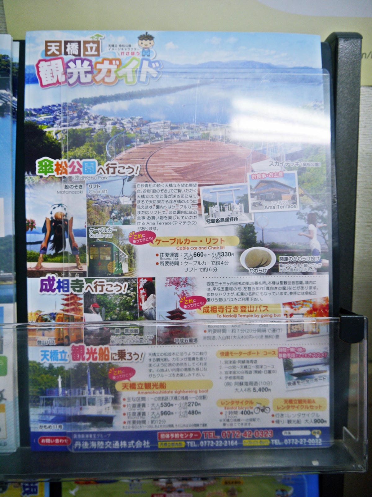 傘松公園 傘松公園