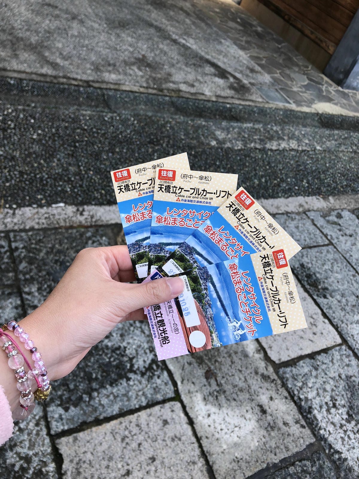 傘松公園 傘松公園