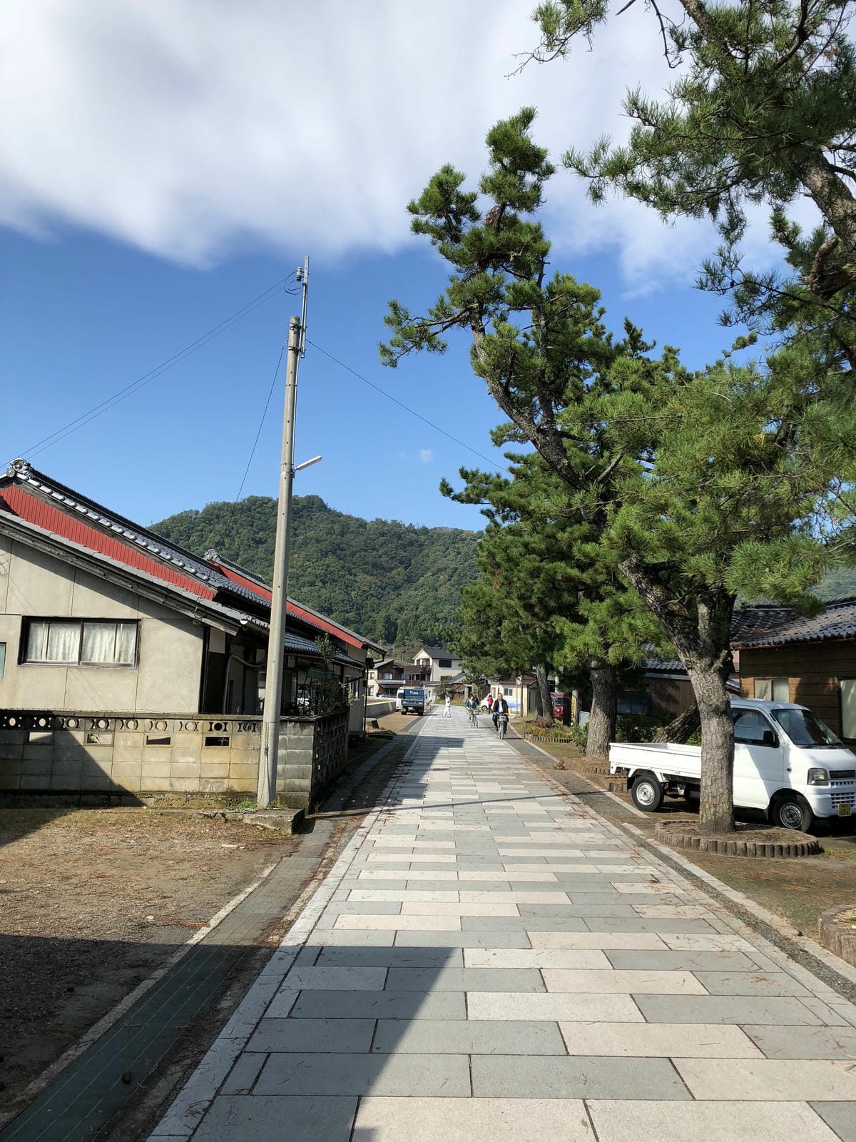 傘松公園 傘松公園