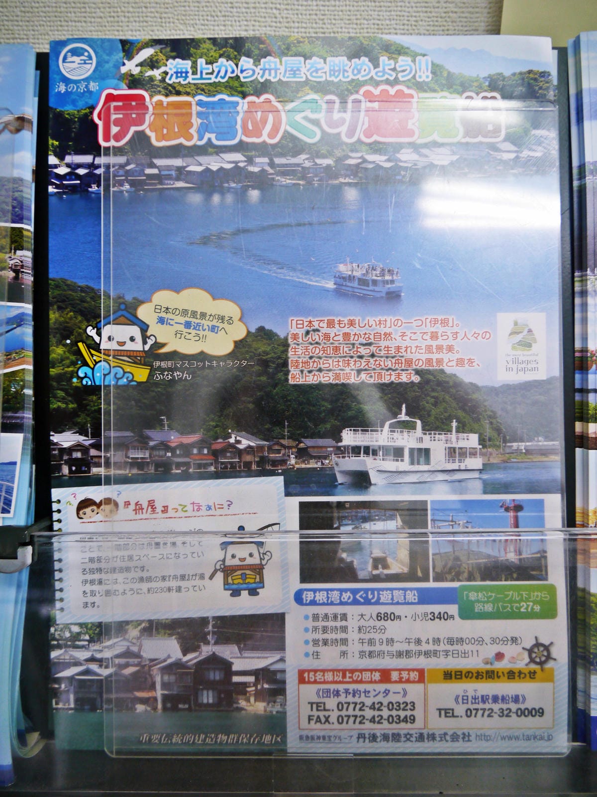 傘松公園 傘松公園