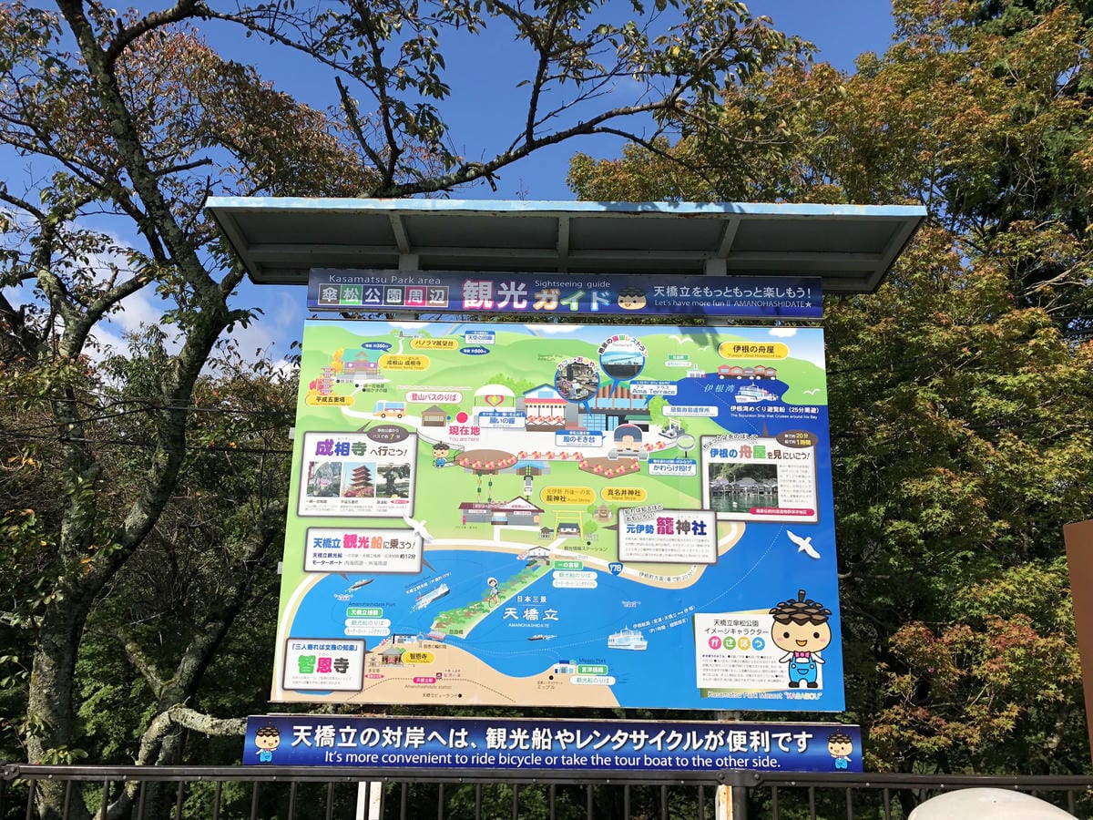 傘松公園 傘松公園