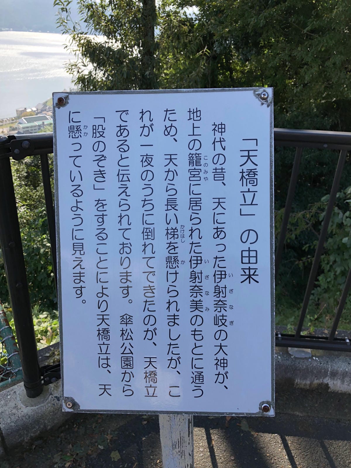 傘松公園 傘松公園